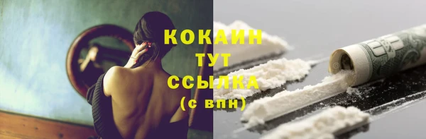 спайс Гвардейск