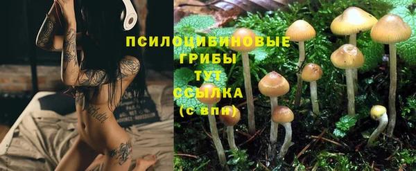 дурь Алзамай