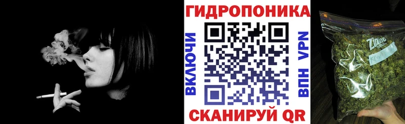 даркнет формула  закладка  Петровск-Забайкальский  Шишки марихуана индика 
